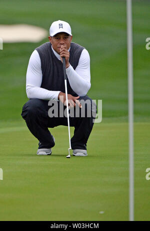 Tiger Woods guarda la linea per il suo putt sul decimo foro del secondo round della gestione dei rifiuti Phoenix aperta presso il Fairmont Scottsdale Princess campo da golf a Scottsdale, Arizona Gennaio 30, 2015. Foto di arte Foxall/UPI Foto Stock