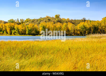 Colore di autunno di Taoshan lago sulla diga del paddock Foto Stock