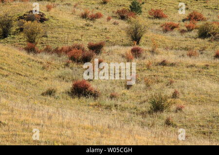 Autunno scenario di montagna Mengpen Foto Stock