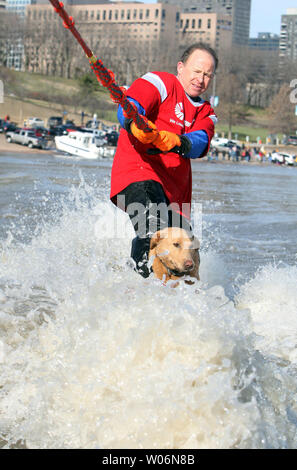 Kevin Day piaceri la folla come lui e il suo cane lo zucchero di canna passano su una scheda di sci durante l annuale Giorno di nuovi anni sci d acqua evento sul fiume Mississippi in San Louis il 1 gennaio 2010. La manifestazione si svolge ogni giorno di nuovi anni per decenni, alza il prezzo per il Missouri acqua Disabili Associazione Sci. UPI/Bill Greenblatt Foto Stock
