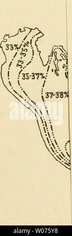 Immagine di archivio da pagina 500 di morire Decapodenfauna der Adria . Die Decapodenfauna der Adria : Versuch einer Monographie diedecapodenfaun00pest Anno: 1918 t Qberflächensaligel LHichLukschu.WalFu. Hunde). Foto Stock