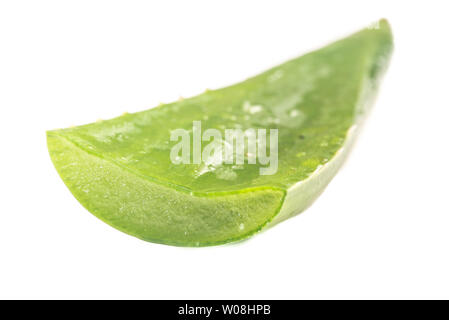 Tagliare Aloe foglie su sfondo bianco isolato Foto Stock