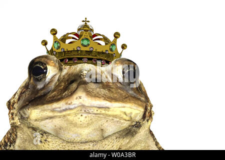 Toad con corona isolati su sfondo bianco 3d illustrazione Foto Stock