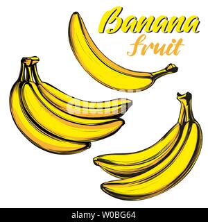 Banane frutta set disegnati a mano illustrazione vettoriale schizzo a colori Illustrazione Vettoriale