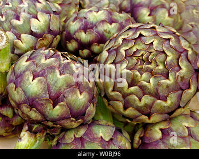 Carciofi Foto Stock