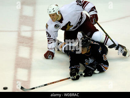 Il Phoenix Coyote ala destra Fredrik Sjostrom (20) della Svezia bussa verso Washington capitelli ala sinistra Alexander Ovechkin (8) della Russia nel terzo periodo dal 1 gennaio 2007 al Verizon Center di Washington, D.C. Il Coyote sconfitto i capitelli 3-2. (UPI Photo/ Mark Goldman) Foto Stock