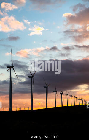 Mulini a vento in area di Borja. Tarazona e Moncayo regione, Aragona, Spagna Foto Stock