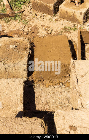 Come rendere Adobe blocchi di fango per la costruzione di case, Pisac, Valle Sacra, Perù, Sud America Foto Stock