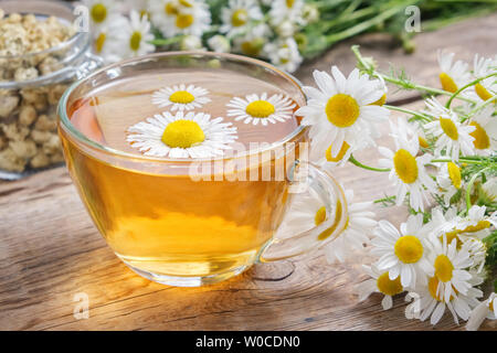 Due tazze di vetro di tè con camomilla, fiori di camomilla sparsi su grigio