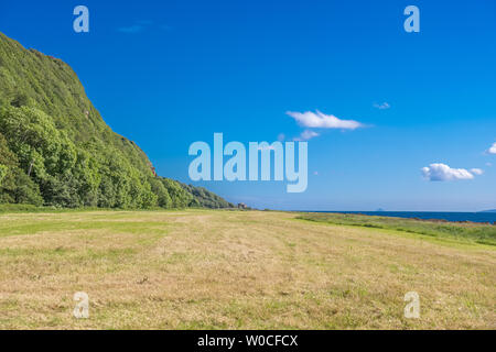 Da Hawking Craig boschi a Portencross Bay in lontananza dove il vecchio castello e Ailsa Craig può essere visto in lontananza sullo Scottish S Foto Stock