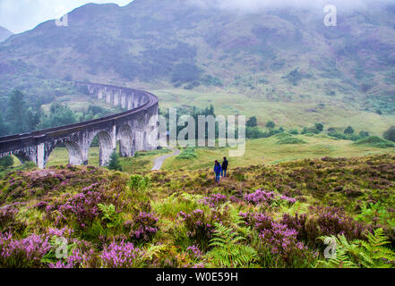 Europa, Gran Bretagna, Scozia, Lochaber, altopiani, viadotto Glenfinnan, West Highland linea ferroviaria (1897-1907) nella parte superiore del Loch Shiel, paesaggio del film "Harry Potter e la Camera dei Segreti " e " il prigioniero di Azkaban' Foto Stock