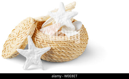 Decorational conchiglie di mare isolato su sfondo bianco Foto Stock