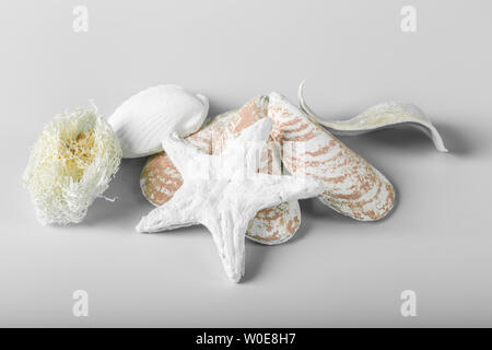 Decorational conchiglie di mare isolato su sfondo bianco Foto Stock