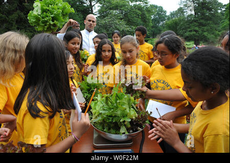 Gli studenti di Bancroft Scuola Elementare pesare le verdure dalla Casa Bianca cucina giardino sul prato Sud della Casa Bianca a Washington il 16 giugno 2009. Gli studenti scegli le verdure con la First Lady Michelle Obama e ha preparato un pasto nella Casa Bianca cucina. (UPI foto/Kevin Dietsch) Foto Stock