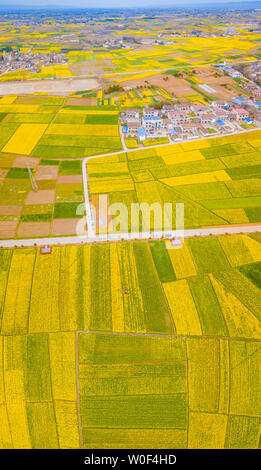 National Highway 108 attraverso Hanzhong olio di colza Foto Stock