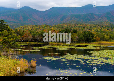 Cinque Laghi, Shiretoko national park, Unesco patrimonio mondiale, prefettura di Hokkaido, Giappone Foto Stock