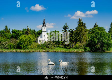 Coppia di cigni Tundra e Chiesa cattolica Ucraina, Mirror Lake, Camrose, Alberta, Foto Stock