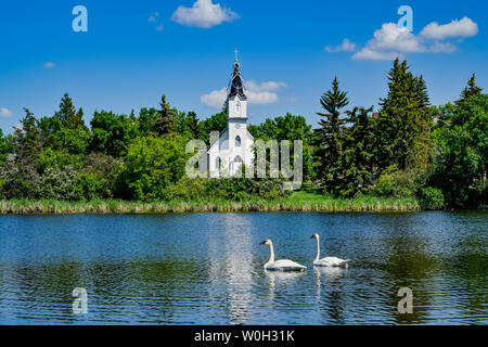 Coppia di Tundra cigni e ucraino chiesa cattolica, Mirror Lake, Camrose, Alberta, Foto Stock