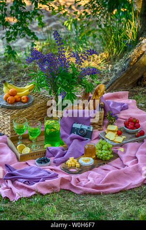 Accogliente area pic-nic con frutta e verdura nella foresta vicino al fiume bright rose colori verde Foto Stock