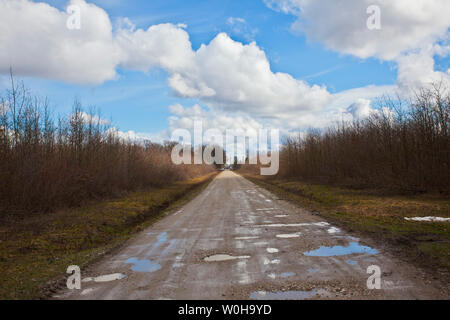 Egli ricorda la legna da ardere. Turopolje foresta. La Croazia. Foto Stock