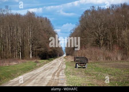 Egli ricorda la legna da ardere. Turopolje foresta. La Croazia. Foto Stock