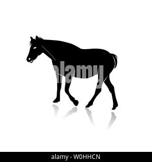 Silhouette di cavallo isolato su sfondo bianco Illustrazione Vettoriale