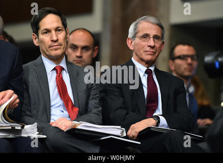 Tom Frieden (L), Direttore dei Centri per il controllo e la prevenzione delle malattie, e Anthony Fauci, direttore dell'Istituto Nazionale di allergie e malattie infettive, frequentare un senato stanziamenti audizione sul governo degli Stati Uniti di risposta ai virus di Ebola in Washington D.C. il 12 novembre 2014. UPI/Kevin Dietsch Foto Stock