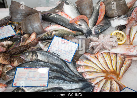 Vari piatti di pesce fresco di mare e pesce visualizzati sul tavolo per la vendita nel mercato del pesce a Bari, Italia: pesce spada, calamari, seppie, polpi, rosso scorpionf Foto Stock