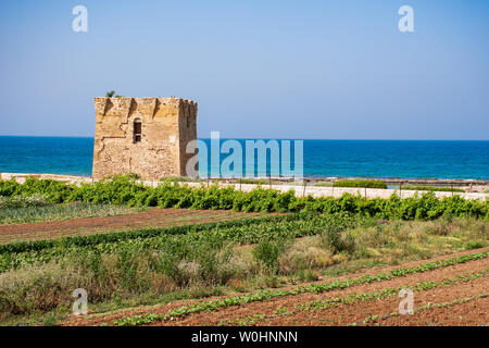Torre di avvistamento barocca, bella e antica torre di San Vito, Polignano a Mare, Bari, Puglia, Italia con con il blu del mare, spiaggia e agricoltura campo coltivato, Foto Stock