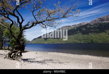 Vista sul Loch Lomond dalla banchina del campeggio e villaggio beachn sulle rive di Loch Lomond costruito come un modello di villaggio in 19C. Foto Stock