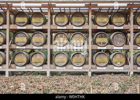 Tokyo, Giappone - Mar 13 2016: In botti di legno impilate di vino al Santuario Meiji Foto Stock