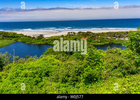 Verdi scogliere rocce giallo Spiaggia Costa onde blu Oceano Pacifico Firenze Oregon Foto Stock