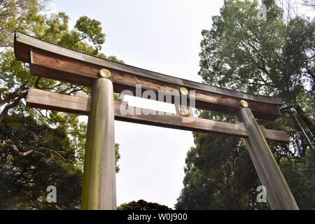 Cancello di Meiji-jingu - il più grande e il più famoso Santuario Shinto, Tokio, Giappone Foto Stock