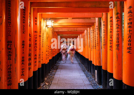 Kyoto, Giappone - Nov 11 2017 : Donna vestita kimono camminare in rosso antico legno torii gate a Fushimi Inari santuario Foto Stock