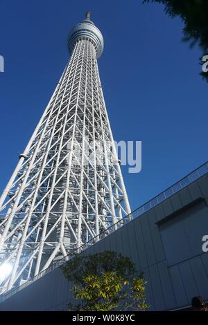 Skytree Tokyo Giappone tree asakusa Foto Stock