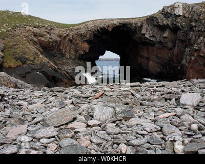 Arco, Pabbaigh mor, Loch Roag, Lewis Foto Stock