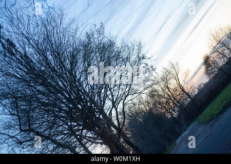 Diagonale ad albero sulla torre elettrico sfondo vintage arte in stampe di alta qualità Foto Stock