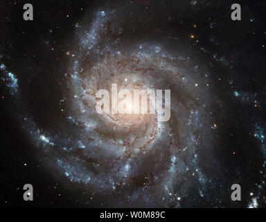 Questa nuova immagine di Hubble svela il gigantesco girandola galaxy, uno dei migliori esempi noti di "grand design spirali", e la sua super-stella gigantesca-formare regioni in dettaglio senza precedenti. L'immagine è la più grande e più foto dettagliate di una galassia spirale mai rilasciato. La galassia ritratto è in realtà composto da 51 singole esposizioni di Hubble, in aggiunta agli elementi da immagini dal ground-based foto. Il composito finale misure di immagine con una sbalorditiva 16.000 per 12.000 pixel. Il gigantesco disco a spirale di stelle, polvere e gas è 170.000 anni-luce in tutto o quasi il doppio del diametro del nostro Milky W Foto Stock