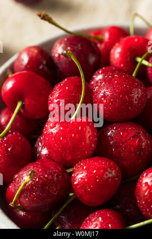 Materie rosse ciliegie organico pronto a mangiare Foto Stock