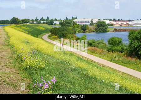 Percorso attraverso il Walthamstow zone umide, North London UK, e bassa Maynard serbatoio Foto Stock