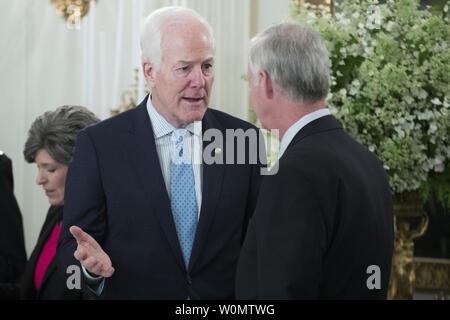 Il senatore repubblicano del Texas John Cornyn (L) e il senatore repubblicano del Wisconsin Ron Johnson (R) parlare l'uno con l'altro prima di iniziare il pranzo con i membri del Congresso ospitato dal presidente statunitense Trump (non mostrato) nello stato in sala da pranzo della Casa Bianca di Washington, DC, Stati Uniti d'America, 19 luglio 2017. Foto di Michael Reynolds/UPI Foto Stock