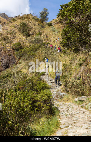 Inca Trail, Day 2, Huayllabamba, oltre Ara de Huarmihuanusca, morto pass womans, Pacay Mayo Alto, Perù, Sud America Foto Stock