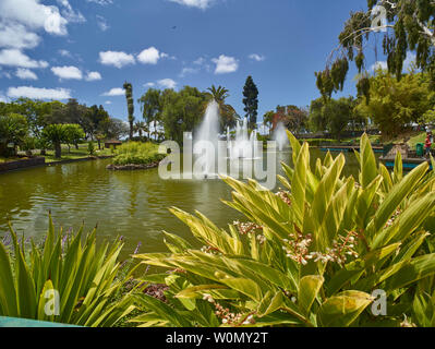 Paesaggi in Santa Catarina Park, centro di Funchal, Madeira, Portogallo, Unione Europea Foto Stock