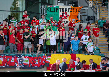 Cardiff, Regno Unito. Il 27 luglio 2019. Gli appassionati di Cliftonville Football Club durante la gara di Europa League. © Credit: Matteo Lofthouse/Alamy Live News Foto Stock