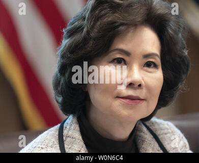 Stati Uniti Segretario dei trasporti Elaine Chao partecipa alla Casa Bianca opportunità e rivitalizzazione riunione del Consiglio presso la Casa Bianca a Washington il 4 aprile 2019. Foto di Chris Kleponis/UPI Foto Stock