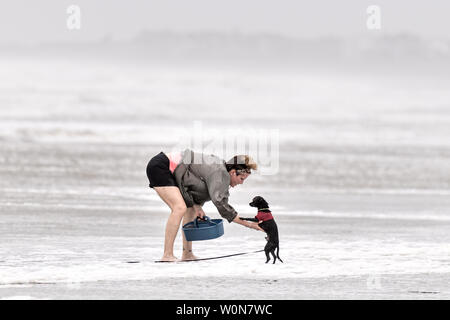 Una donna preleva il suo piccolo cane dopo maree risucchiata lungo la spiaggia in alta venti di tempesta tropicale Hermine nell isola di palme, Carolina del Sud il 2 settembre 2016. Frequentatori di spiaggia sono stati scoraggiati dall'entrata in acqua a causa di correnti di rip, turbolento onde e venti superiori a 50 km/h. Foto di Richard Ellis/UPI Foto Stock