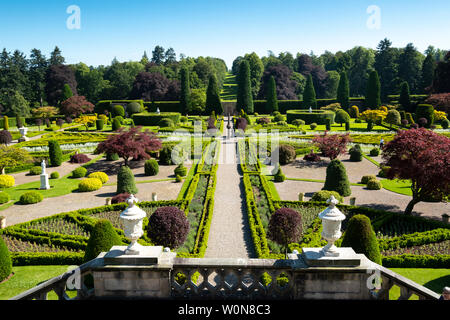 Drummond giardini di castello in castello di Drummond in Perthshire Scozia , REGNO UNITO Foto Stock