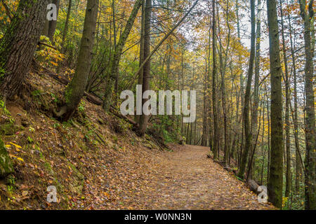 Sentiero escursionistico in montagna in autunno con colorati alberi e foglie cadute, circondata da rocce di grandi dimensioni Foto Stock