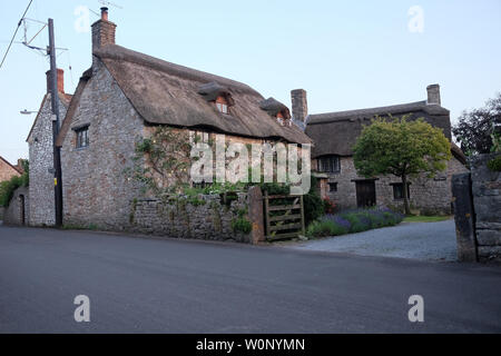 Giugno 2019 - Grande cottage in rural Somerset village di Cheddar Foto Stock