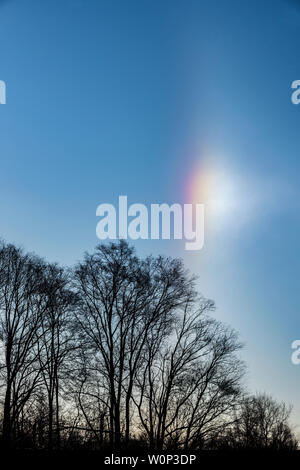 Sundogs (a.k.a., parhelion;plurale: parhelia), 30 gennaio 2019, Minnesota, USA, da Dominique Braud/Dembinsky Foto Assoc Foto Stock